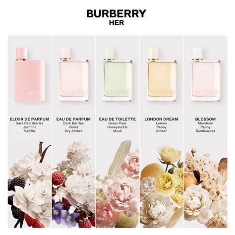 her elixir parfum set(edp 100ml+edp 30ml)23|burberry her elixir perfume.